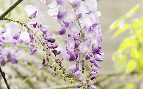 ���ٻ����Ĵ�ȫ��3ƪ��