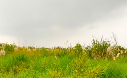 走进和谐的春天作文10篇