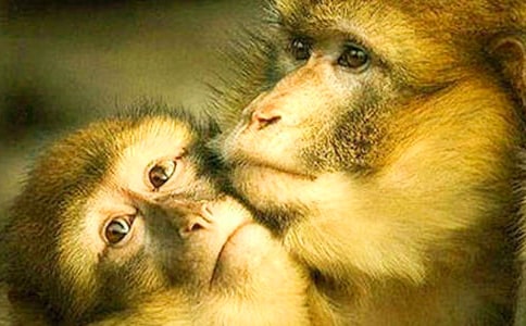 ����������800��