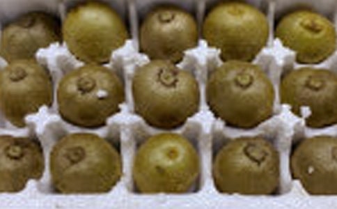 ⨺�������