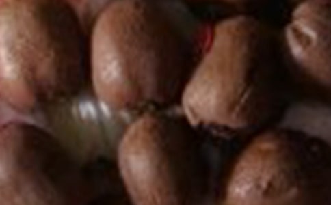 Сѧ���꼶���ģ�⨺��ң���ѡ28ƪ��