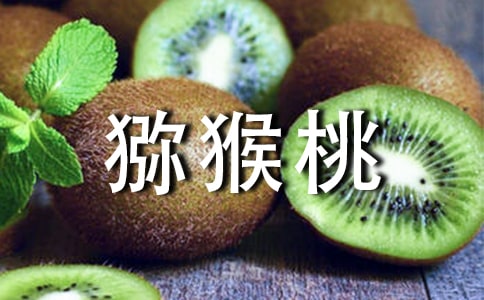 猕猴桃作文