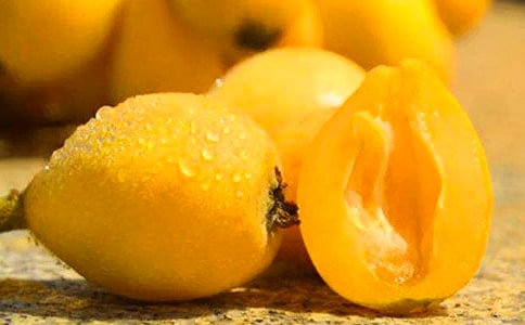 描写枇杷小学生作文