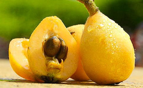 ���˻���,�Ļ�Ҳ��ɢ��