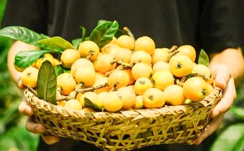 ��������ˮī�������ˡ��̰���ͨ��10ƪ��