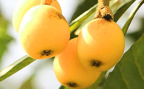 �Ҽҵ�����������