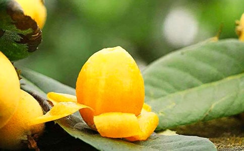 �Ұ��������������ͨ��9ƪ