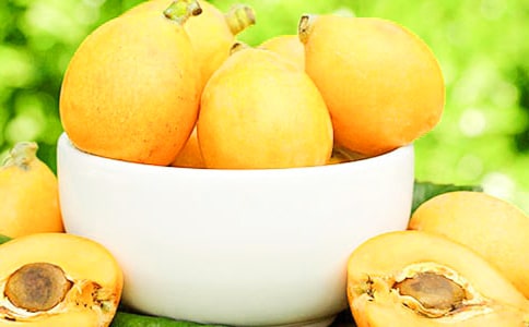 摘枇杷小学作文(精选39篇)