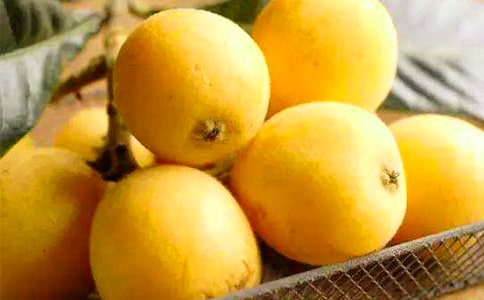 �������˵�Сѧ����