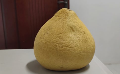 柚子中的亲情作文