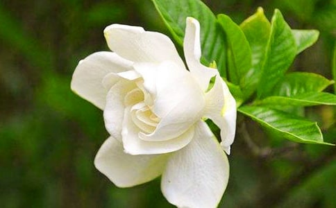 ���г�һ����1200�֣����ӻ���