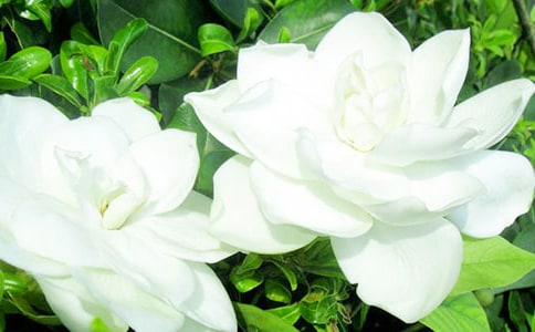 ���ӻ������ģ���ѡ40ƪ��