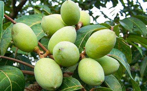 ������������8�ֻ���С����