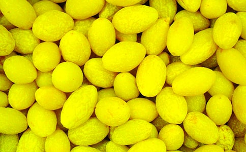 ����ɫ�����������У���ѡ16ƪ��