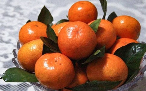 橘子大作战四年级日记(通用15篇)