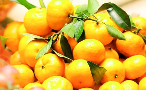 ���ӵ�����15ƪ