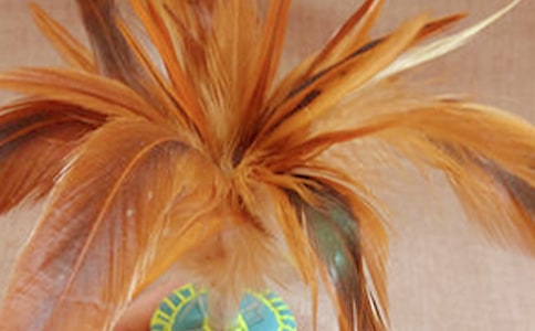 ���������ȹ����ܽ�