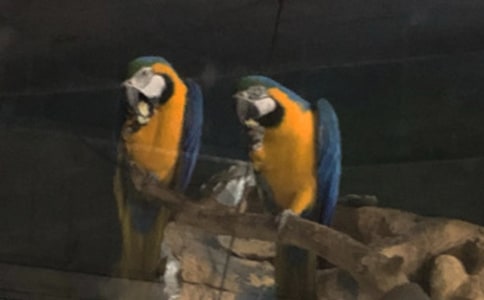 ���ĵ��ռ�200��