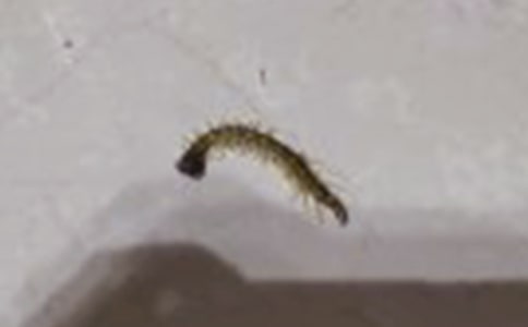 ��д��������400�֣�ͨ��33ƪ��