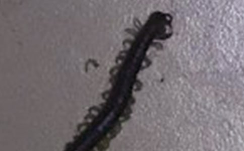 ��������ʾ����������