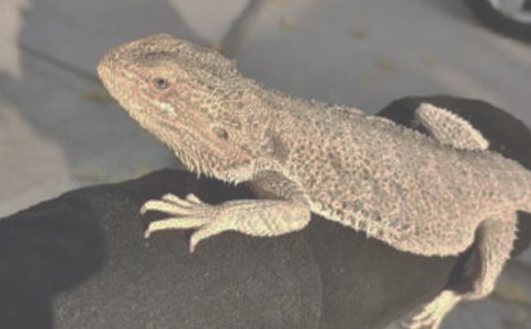 ��������300�֣���ѡ24ƪ��