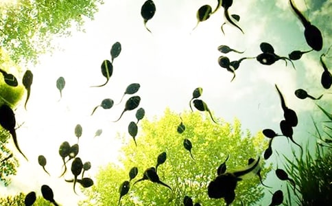 С���������̰��뷴˼����ѡ17ƪ��