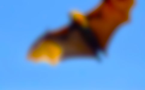 �ۡ�������ǰ��3���ڰ���ʿ�����и�500��