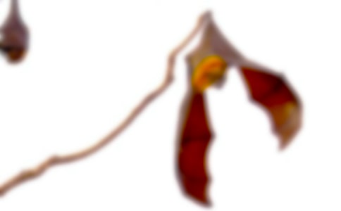 ��������������600��