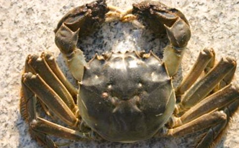 �а������̰������з��