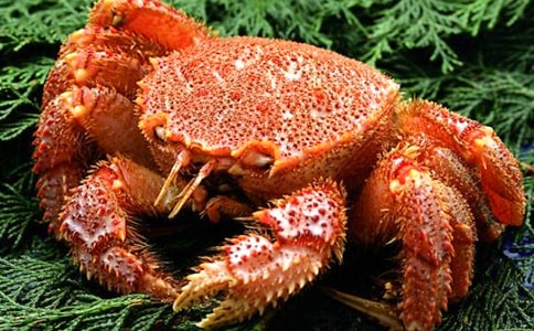 中班美术教案:大螃蟹