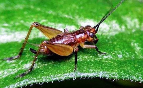 ���� 7 ���סլ-�˽̿α�̲�