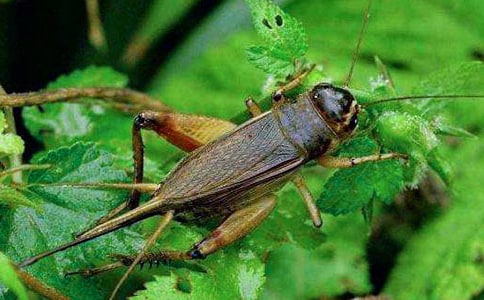 �����סլ����һ��ʱ�̰�