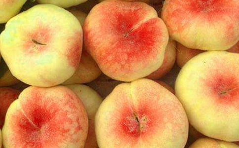 神游蟠桃会 -作文