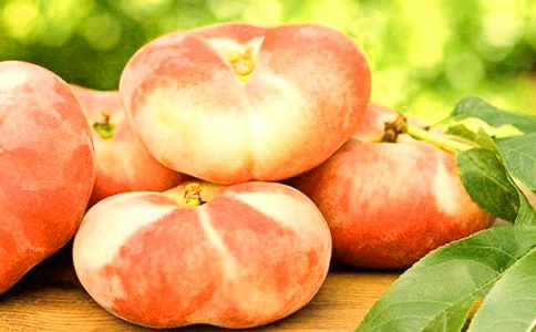 ����մ������԰-���꼶