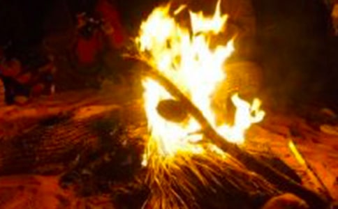 ��ԭ����������������