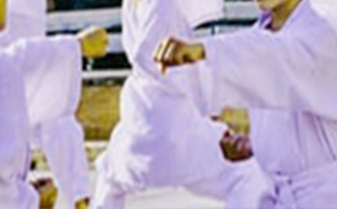 跆拳道作文300字(精选30篇)