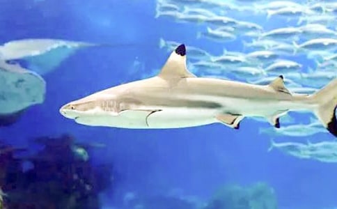 �������������