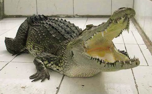 �ܸж�����������15ƪ