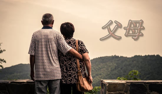 ������ĸ�������ӵ�һ���ţ���ѡ20ƪ��