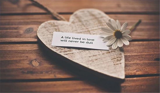 关于坚持爱情的句子