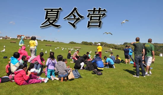 [��]��������Ӫ���������6ƪ