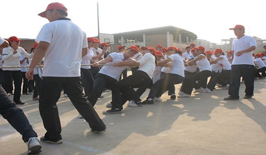 关于拔河优秀作文3篇